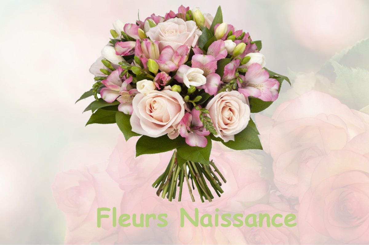 fleurs naissance VARENNES-SUR-SEINE